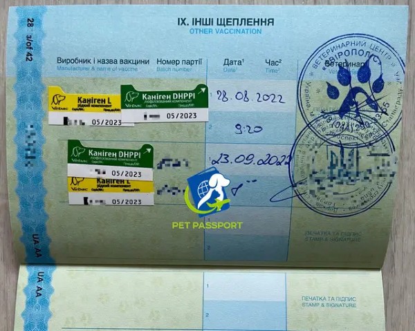 Приклади вклеєних щеплень