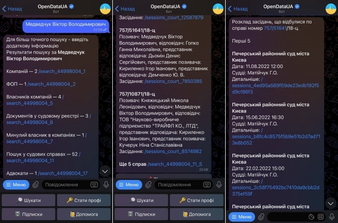 Як знайти судову справу в Опендатабот