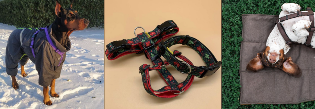 AMUNITSIYA DLYA TVARYN Незламні: 18 цікавих брендів з Харкова, що працюють попри війну