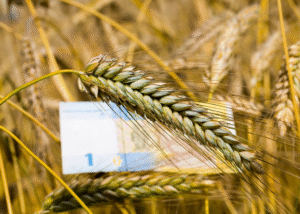 Гривня оновила історичний мінімум. Чого очікувати від курсу до кінця року