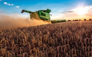 Розвиток малих і середніх агропідприємств: грантова програма від ФАО та ЄС