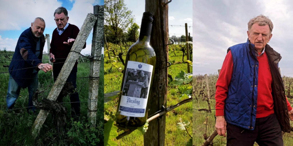 Вина Курінь 