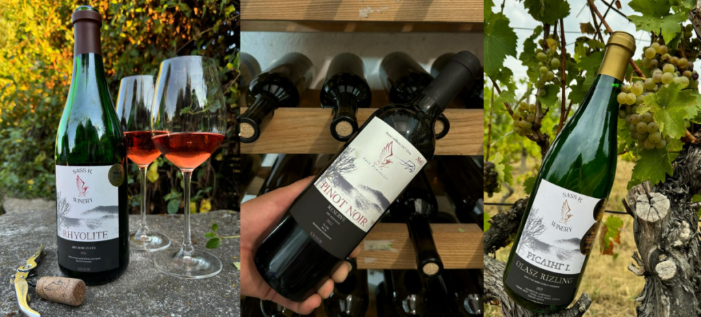 Підвал Сімʼї Шош вина