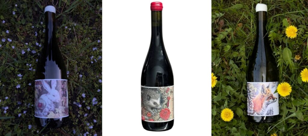 Enko Winery - вина Енко