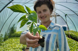 Можливості для молодих підприємців з малих громад: програма “LIFT” від USAID та IREX