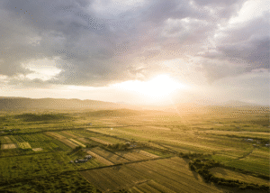 Стати лендлордом без зайвих клопотів: сервіси для зручного купівлі землі