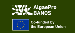 Ваучер до €10 тис. на підтримку стартапів у “синій” економіці