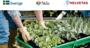 Гранти до 117 тис. грн для підприємців із вразливих категорій