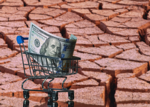 Фінансова система перед загрозою краху через глобальне потепління