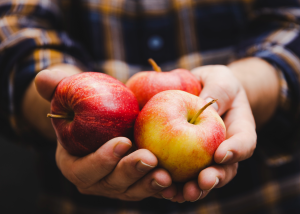П’ять факторів, чому яблука нині дорожче від бананів 
