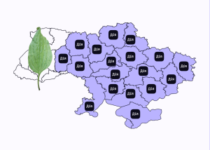 У Дії відновили надання послуги ДРАЦС у Києві та п’яти областях