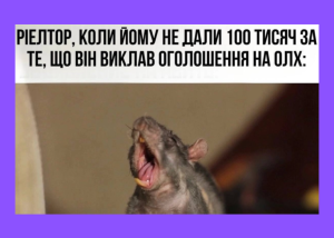 В Кабміні визнали необхідність регулювання роботи рієлторів. Але відбудеться це не скоро