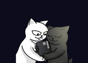 Monobank запустив спільні картки для родин. Як це працює на практиці