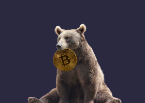 CryptoQuant заявила про початок ведмежого ринку криптовалют