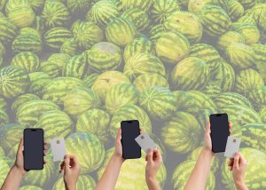 Мінекономіки відмовилося відтермінувати обов’язкові термінали для дрібних підприємців