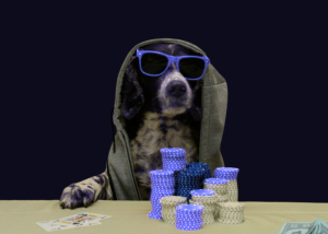 За рекламу нелегального грального бізнесу хочуть штрафувати жорсткіше