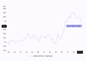 В НБУ пояснили січневу девальвацію гривні сезонними факторами