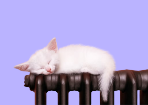 Чому відключення світла не впливають на платіжки за опалення