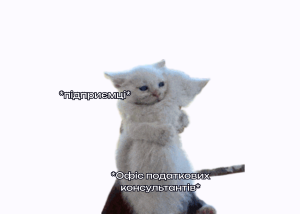 Для підприємців відкрили 20 офісів для податкового супроводу та консультацій