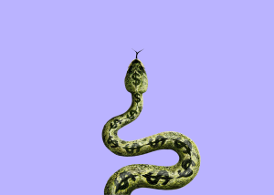 Політика Трампа заставляє інвесторів шукати захист від долара