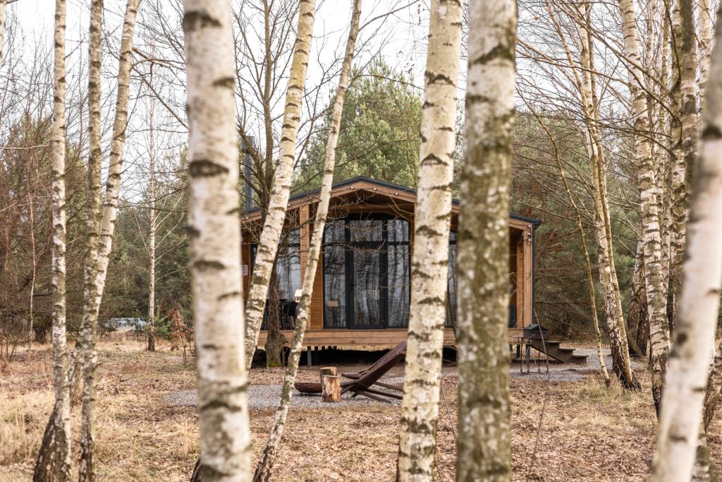 Уліс фото котеджу в березах