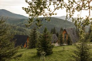 Уліс фото на горах