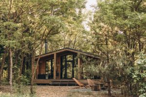 Уліс фото будинку в лісі