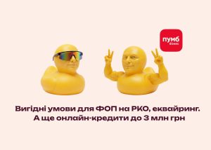 Про що вони говорять? Перекладаємо з качиної на мову ФОПа