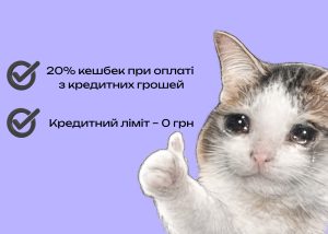 Карткою якого банку розраховуватися у червні – найкращий кешбек за категоріями