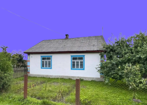 У купівлі житла в селі для ВПО виявили проблему