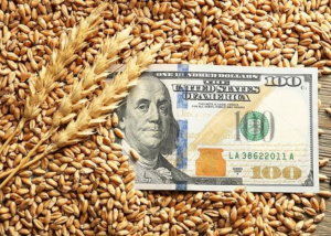 Світові ціни на пшеницю зросли на 40% через перебої з поставками з Чорного моря